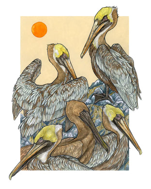 Sarah Draws Things A Scoop of Pelicans 8x10 Print