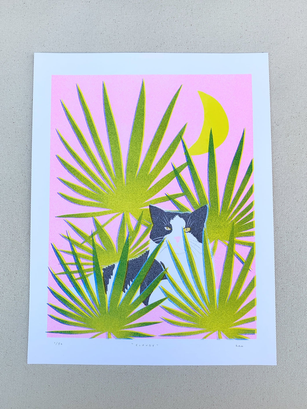 Stitch Prism Cloudy in Palmettos  Risograph Print