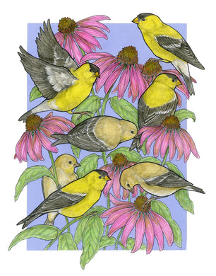 Sarah Draws Things A Charm of Finches