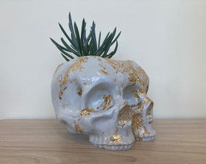 Maker Missya Double Skull Planter