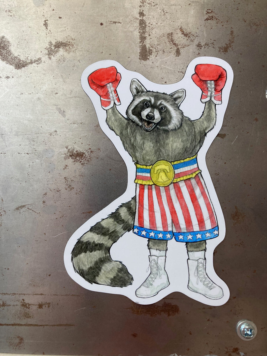 Sarah Draws Things Rocky Raccoon Magnet