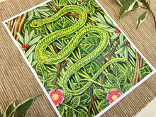 Adrienne Langer Smooth Greensnake Print