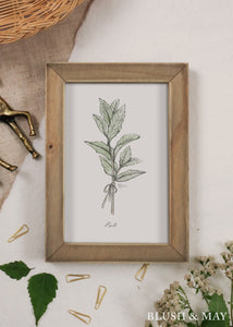 Blush and May Mint Sketch Graphite Art Print