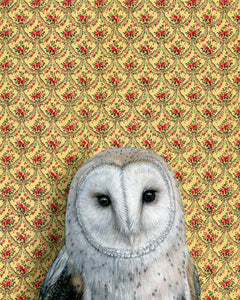 Emily Uchytil Barn Owl Fine Art Print