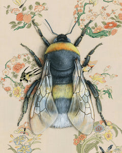 Emily Uchytil Bumblebee Fine Art Print