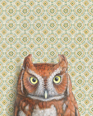 Emily Uchytil Screech Owl Fine Art Print