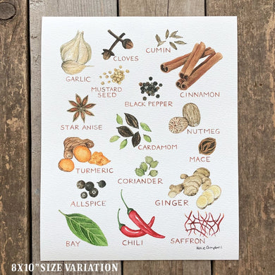 Katie Campbell Illustration Watercolor Kitchen Spices Giclee Print