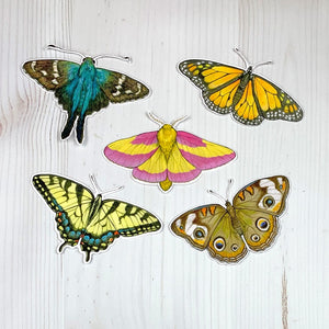 Sarah Draws Things Assorted Butterfly and Moth Vinyl Sticker
