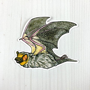Sarah Draws Things Assorted Bat Vinyl Sticker