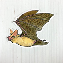 Sarah Draws Things Assorted Bat Vinyl Sticker