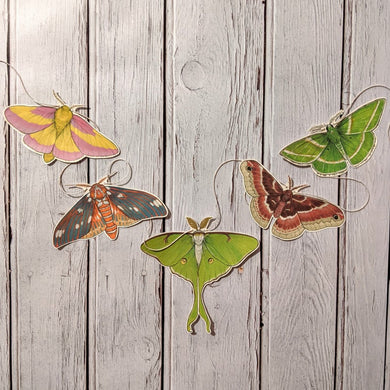 Sarah Ryan Colorful Moth Garland