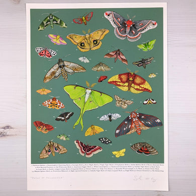 Sarah Ryan Moths of Philadelphia Print