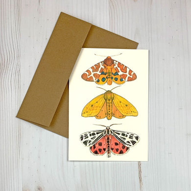 Sarah Draws Things Tiger Moth Notecard