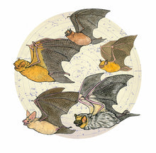 Sarah Draws Things Starry Bats 8x8 Print