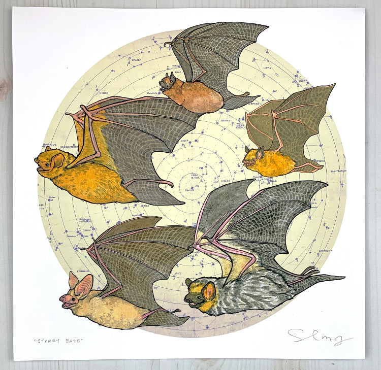 Sarah Draws Things Starry Bats 8x8 Print