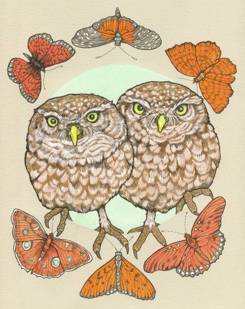 Sarah Draws Things Owl Sisters Print
